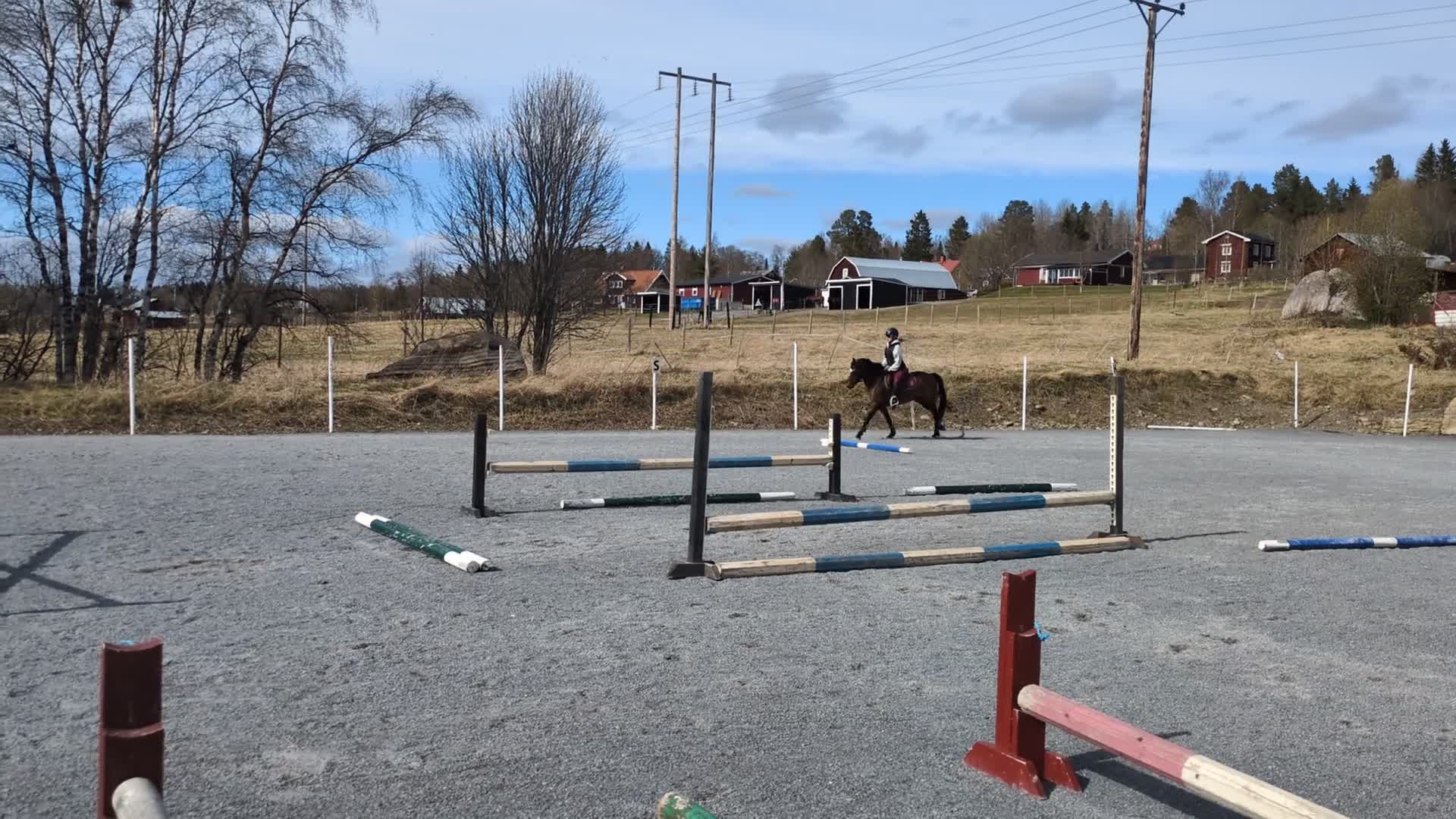 Hoppning hästar till salu: Välhoppande sto för de högre klasserna  - Video 1