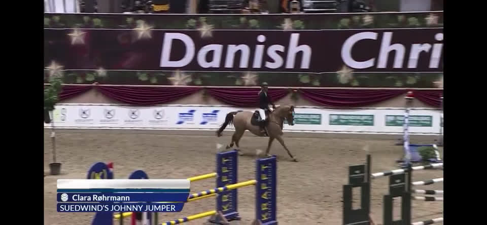 Hoppning hästar till salu: Perfekt children, junior og amatør horse for sale i Hårlev - Video 4