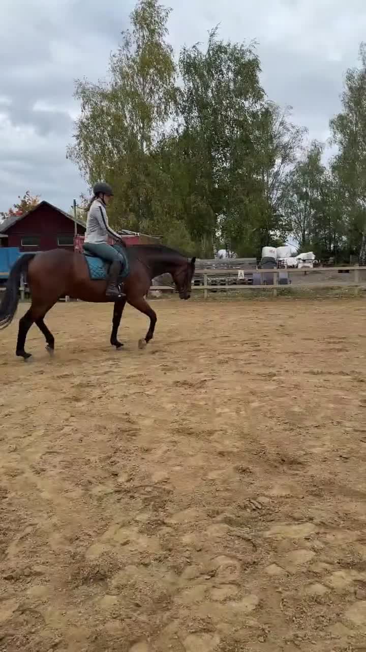 Dressyr hästar sökes: Dressyr läromästare/ låna och ta lektioner på i Vagnhärad - Video 1