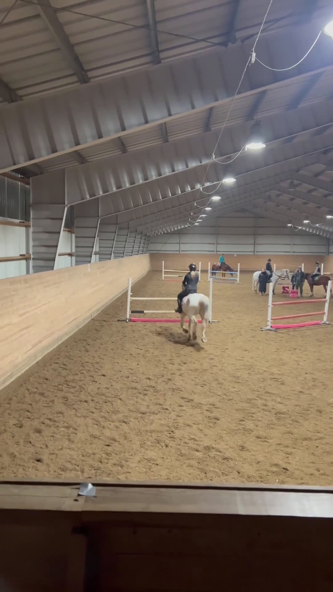 Allround hästar till salu: Maxad D ponny som syns i mängden - Video 3