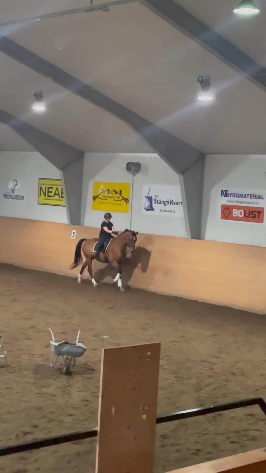 Dressyr hästar till salu: Snäll valack säljes - Video 1