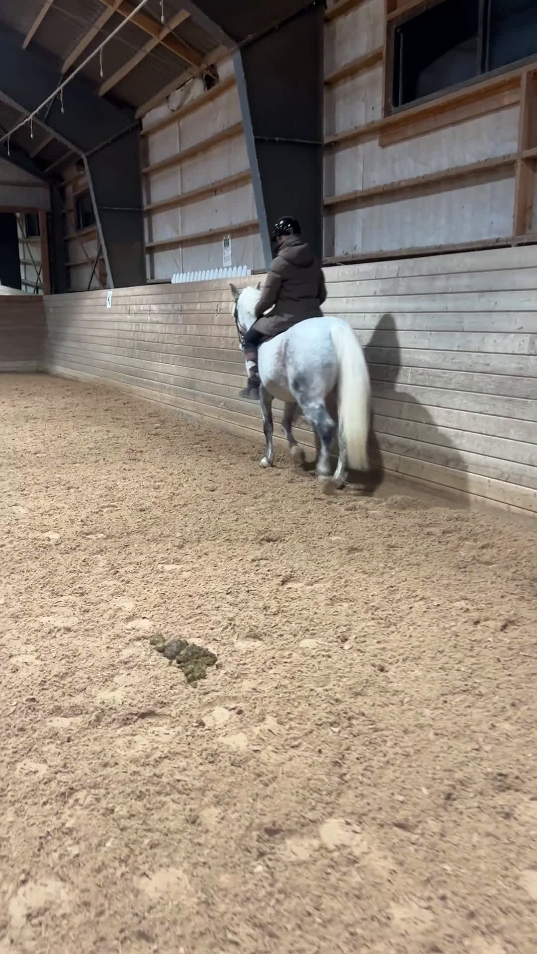 Hoppning hästar till salu: 🌟 Rosettplockande läromästare – Maxad C-ponny  i Huddinge - Video 4