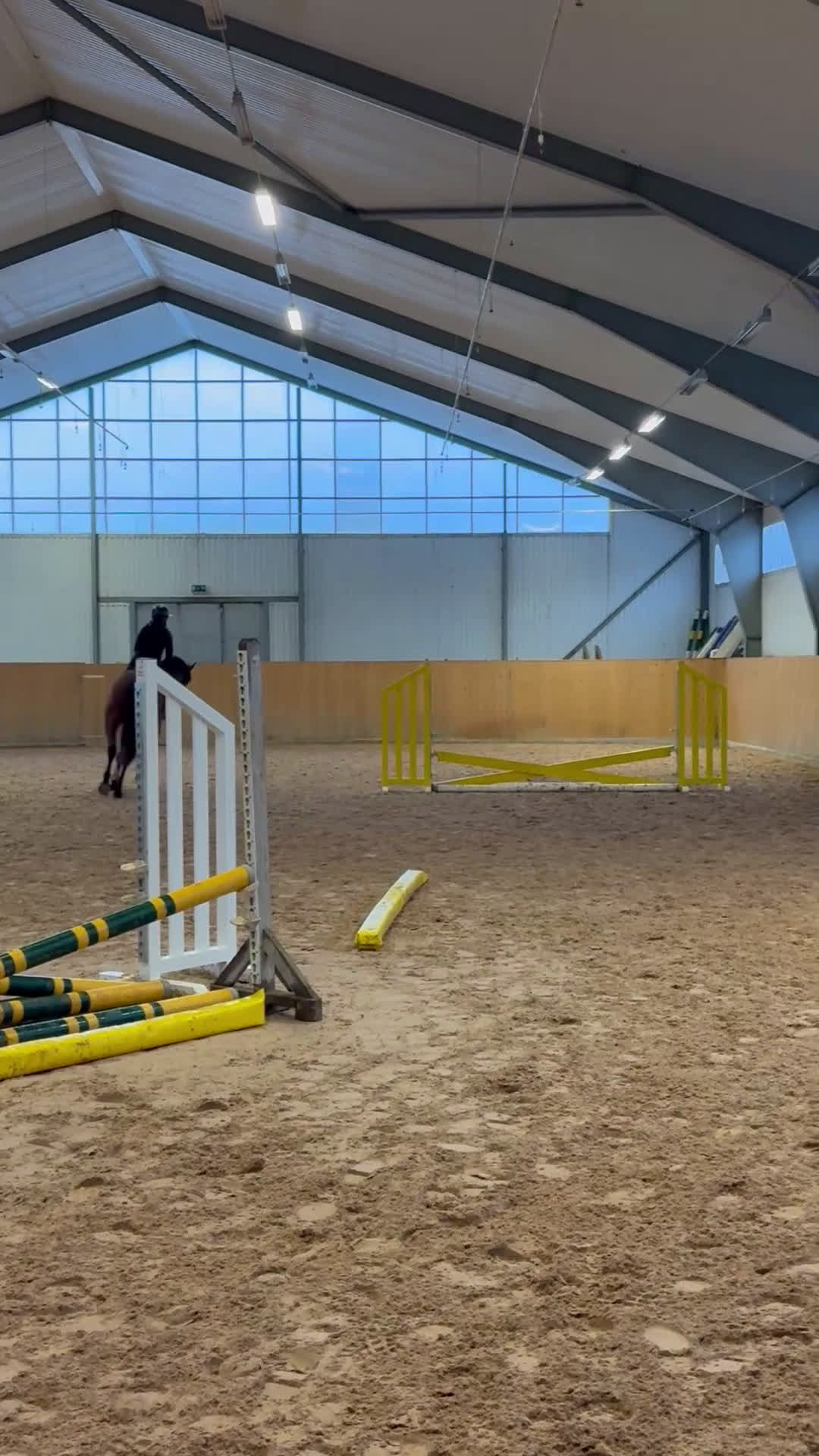 Hoppning hästar till salu: 5 årigt sto e. Capriolo VDL-Carẽme  - Video 1