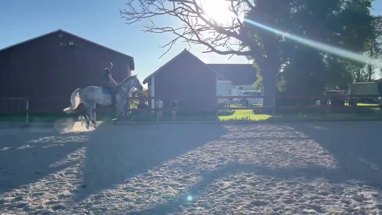 Fälttävlan hästar till salu: Oslipad diamant med stor utvecklingspotential  - Video 4