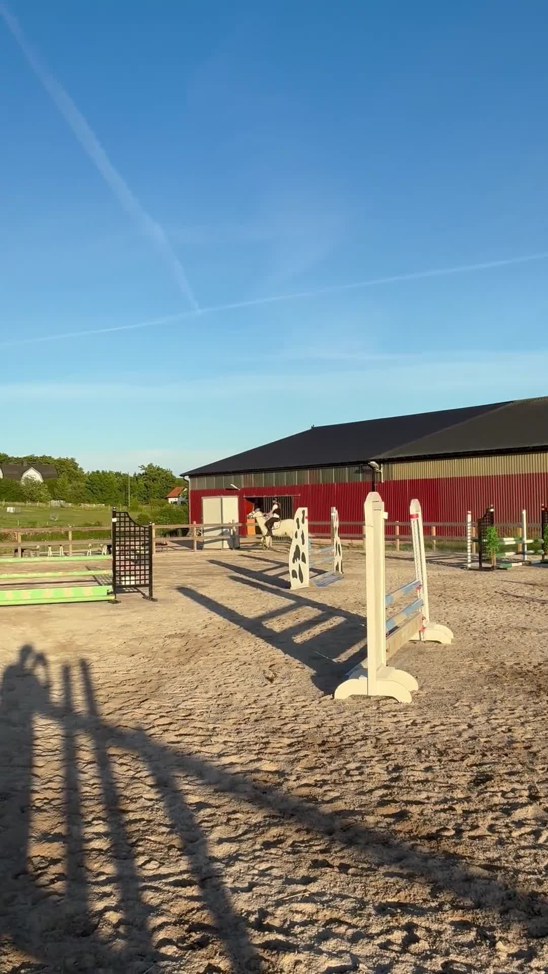Allround hästar till salu: Snäll d-ponny söker nytt hem - Video 2