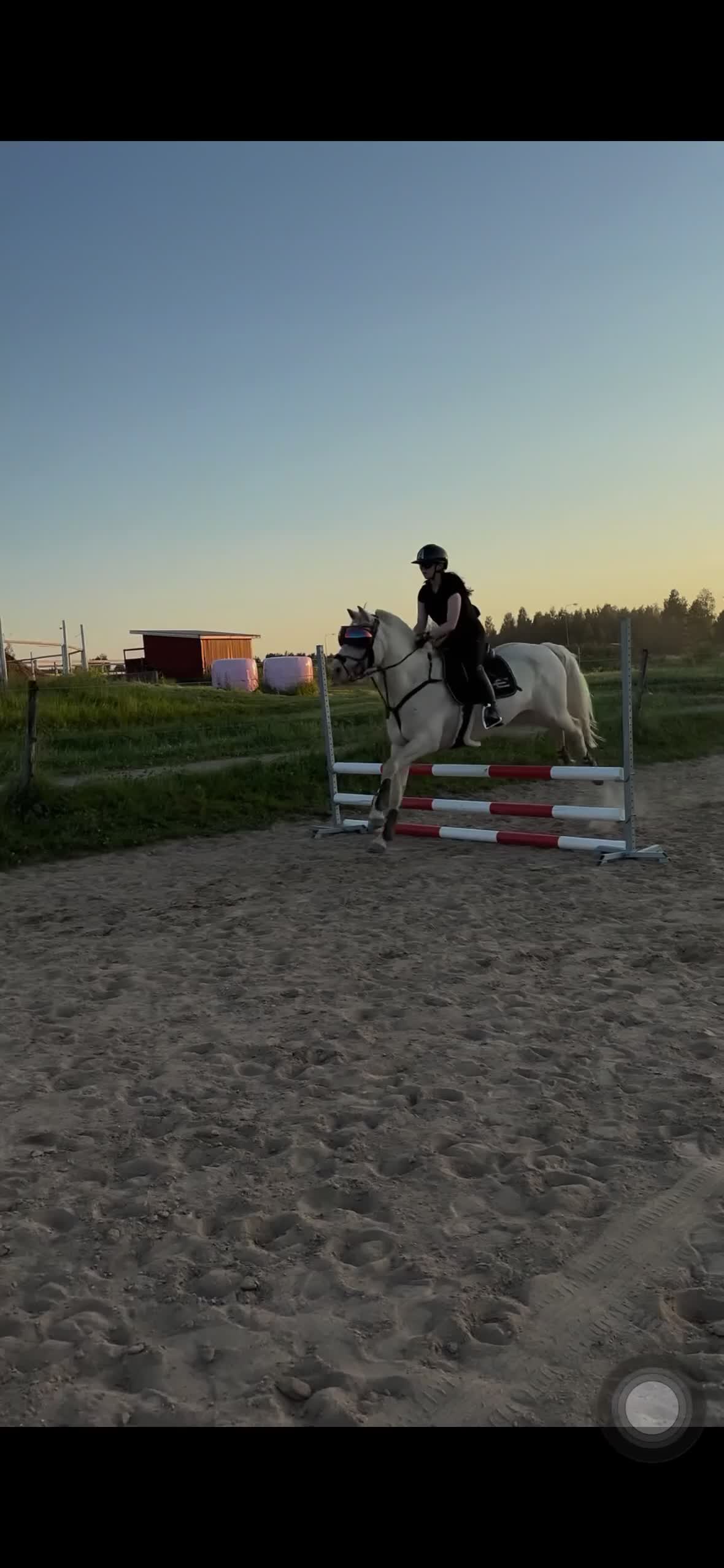 Allround hästar till salu: Fantastisk maxad D-ponny! - Video 1