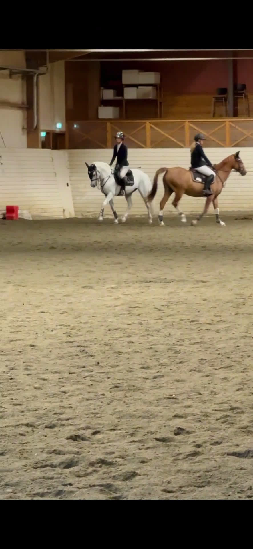 Hoppning hästar till salu: Super fin c ponny connemara  i Delsbo - Video 1