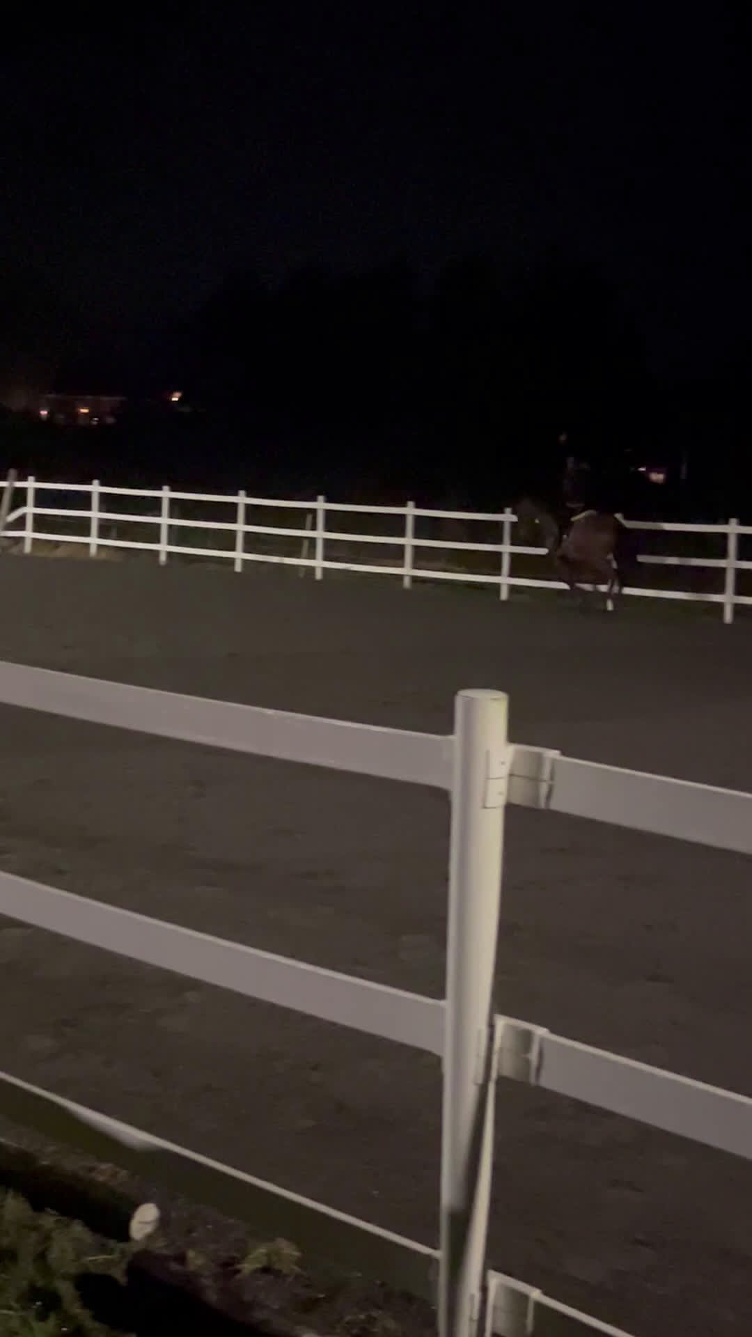 Allround hästar till salu: Pålitlig hobbyhäst i Upphärad - Video 1