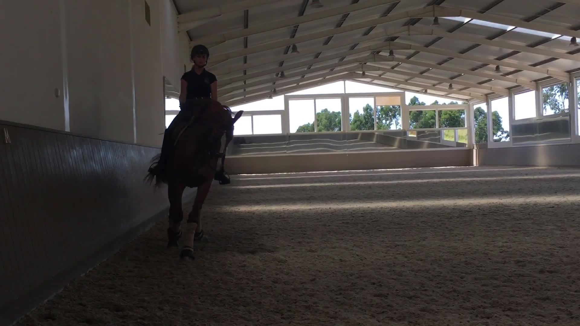 Dressyr hästar till salu: SWB-sto dräktig med Kjento i Lund - Video 1