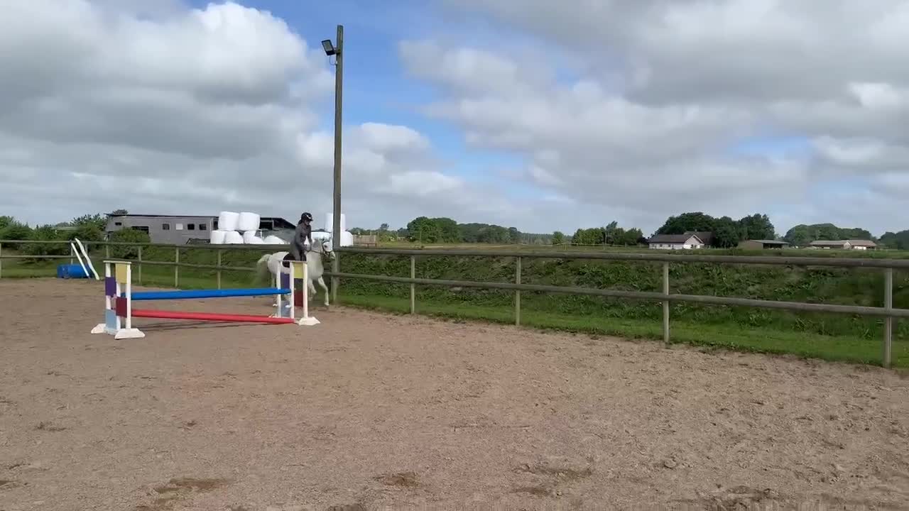 Allround hästar till salu: Samarbete/foder/säljas. i Kävlinge - Video 2