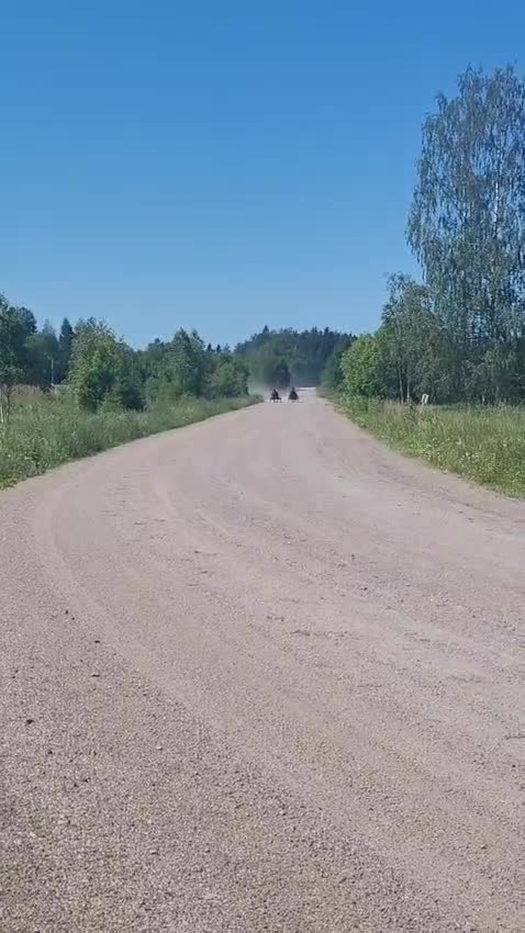 Trav hästar till salu: 40% ägande i två toppstammade travare - Video 1
