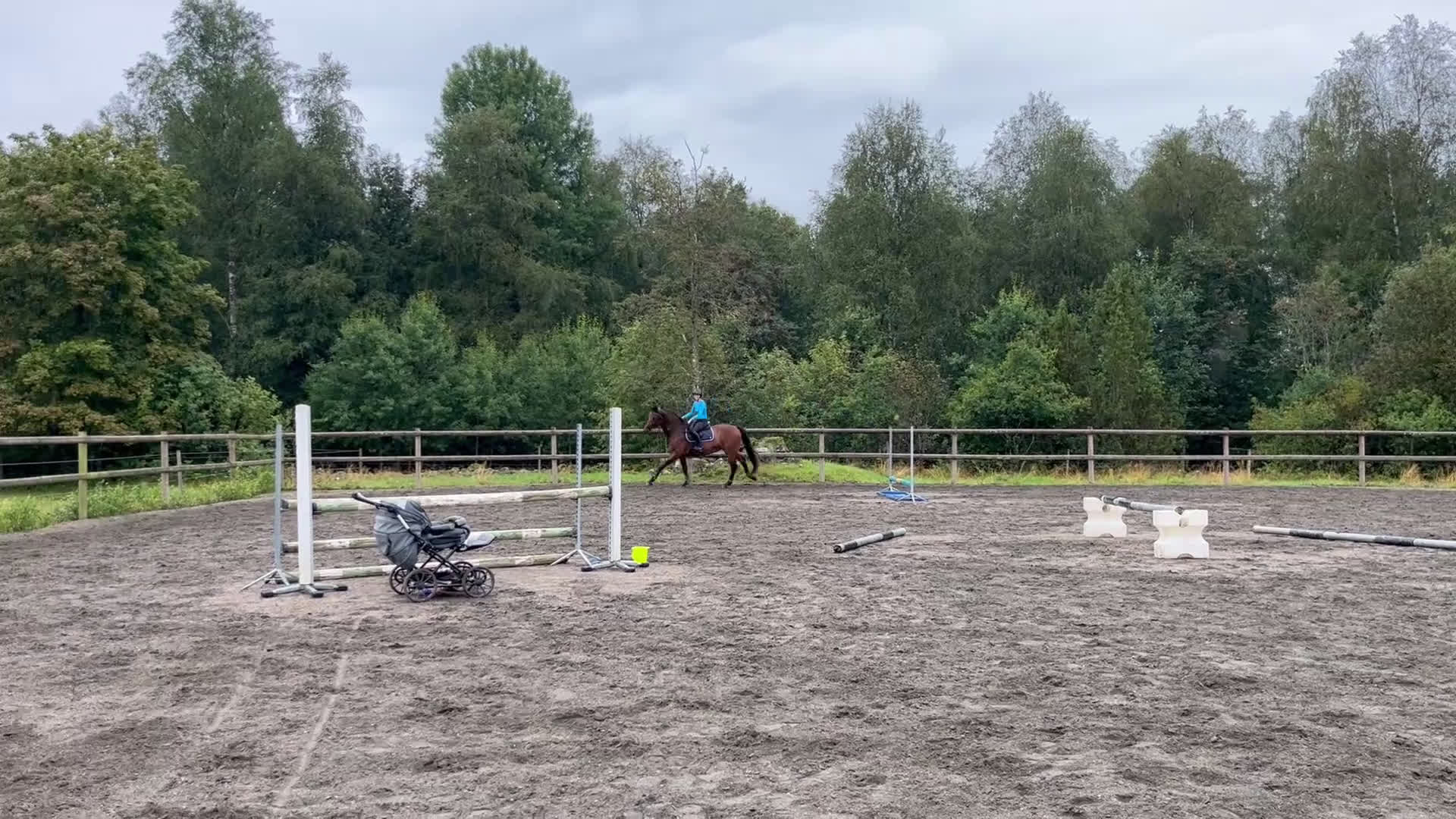 Hoppning hästar till salu: Rolig hobbyhäst inklusive ny sadel  i Bolmsö - Video 4