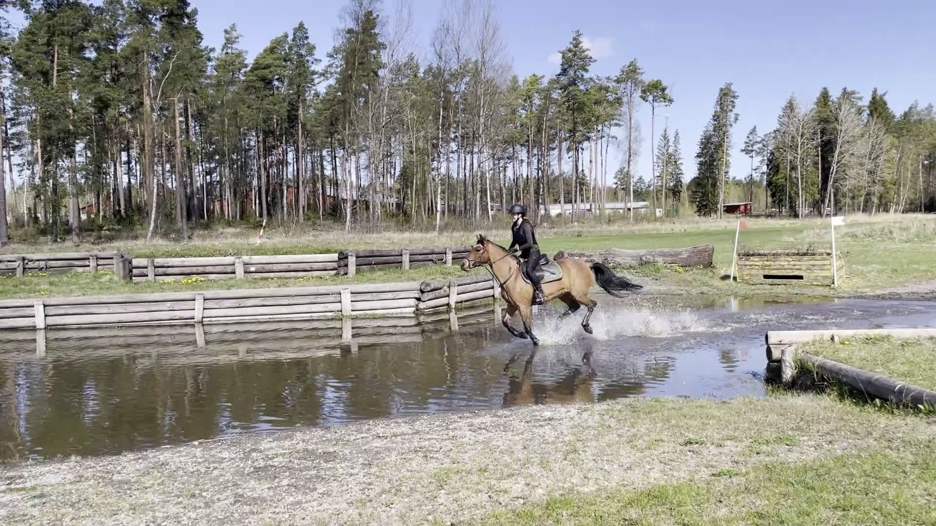 Hoppning hästar till salu: Supersnäll D-ponny i Kungsängen - Video 5