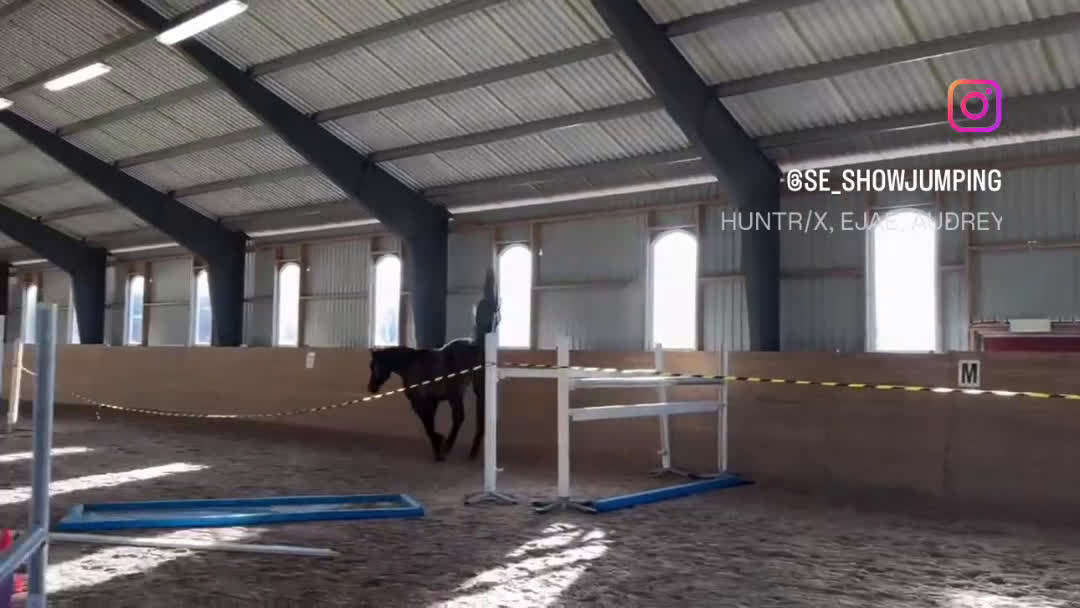 Hoppning hästar till salu: Lovande hoppvalack i Rottne - Video 2