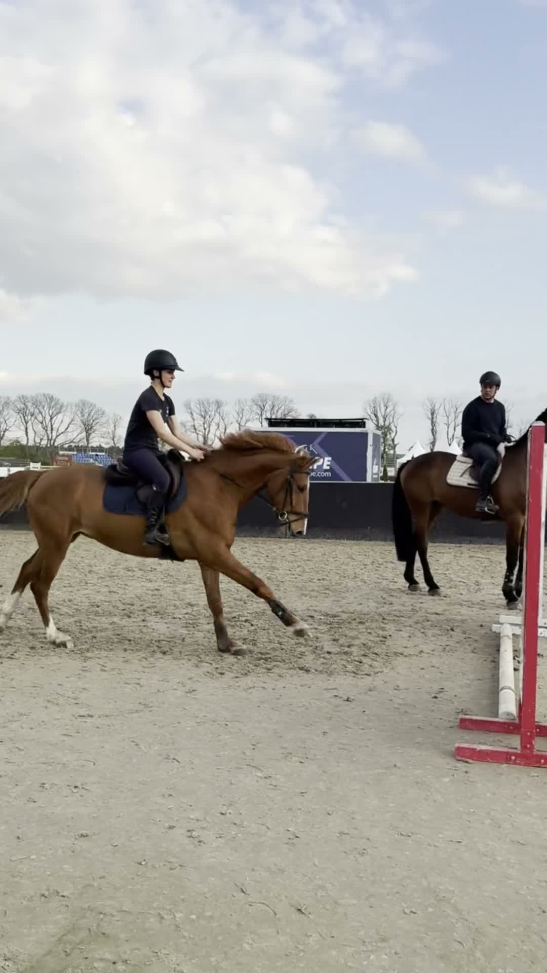 Hoppning hästar till salu: Snäll 5åring med toppstam  - Video 1