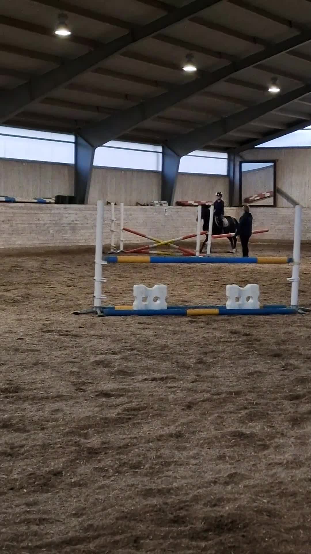 Allround hästar till salu: Fint sto med hög integritet i Torsby - Video 1