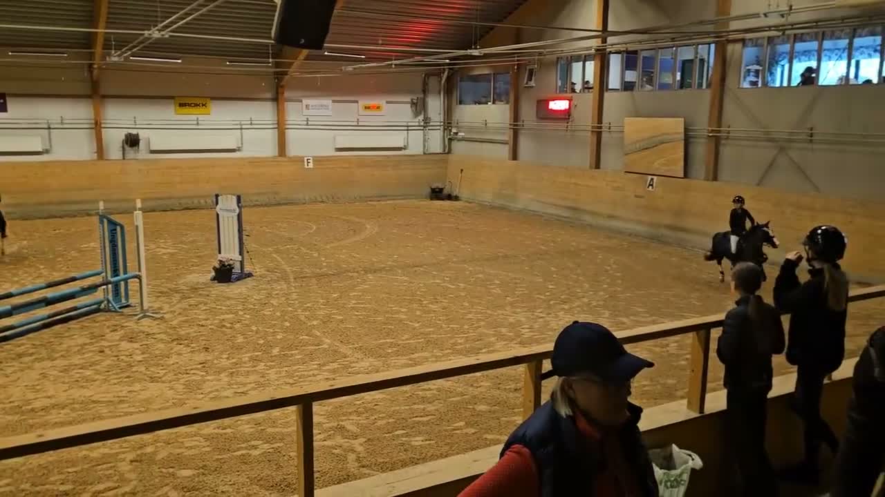 Hoppning hästar till salu: Fin B-ponny i Sävar - Video 2