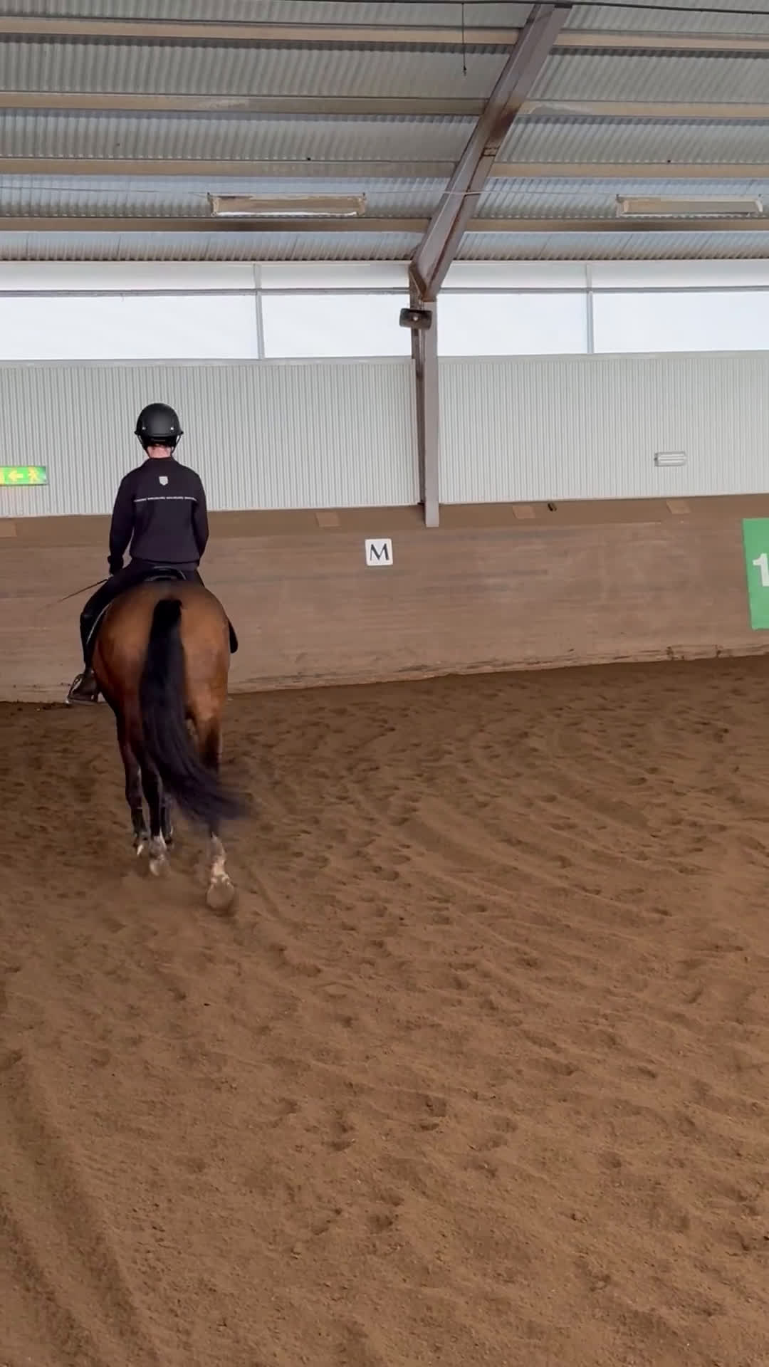 Allround hästar till salu: Charmig c-ponny i Västerås - Video 1