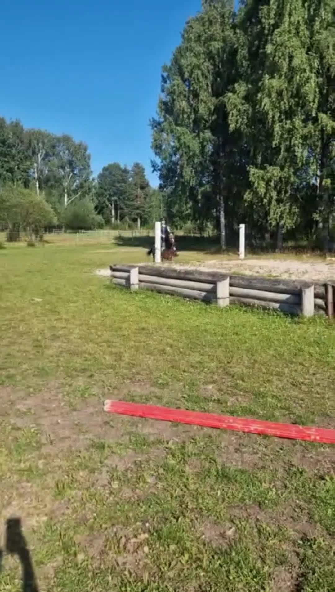 Hoppning hästar till salu: Positiv B-ponny med stor arbetsglädje - Video 1