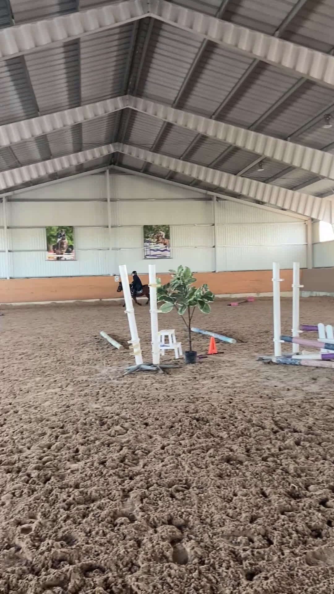 Allround hästar till salu: Sötaste Rocky ❤️ - Video 3