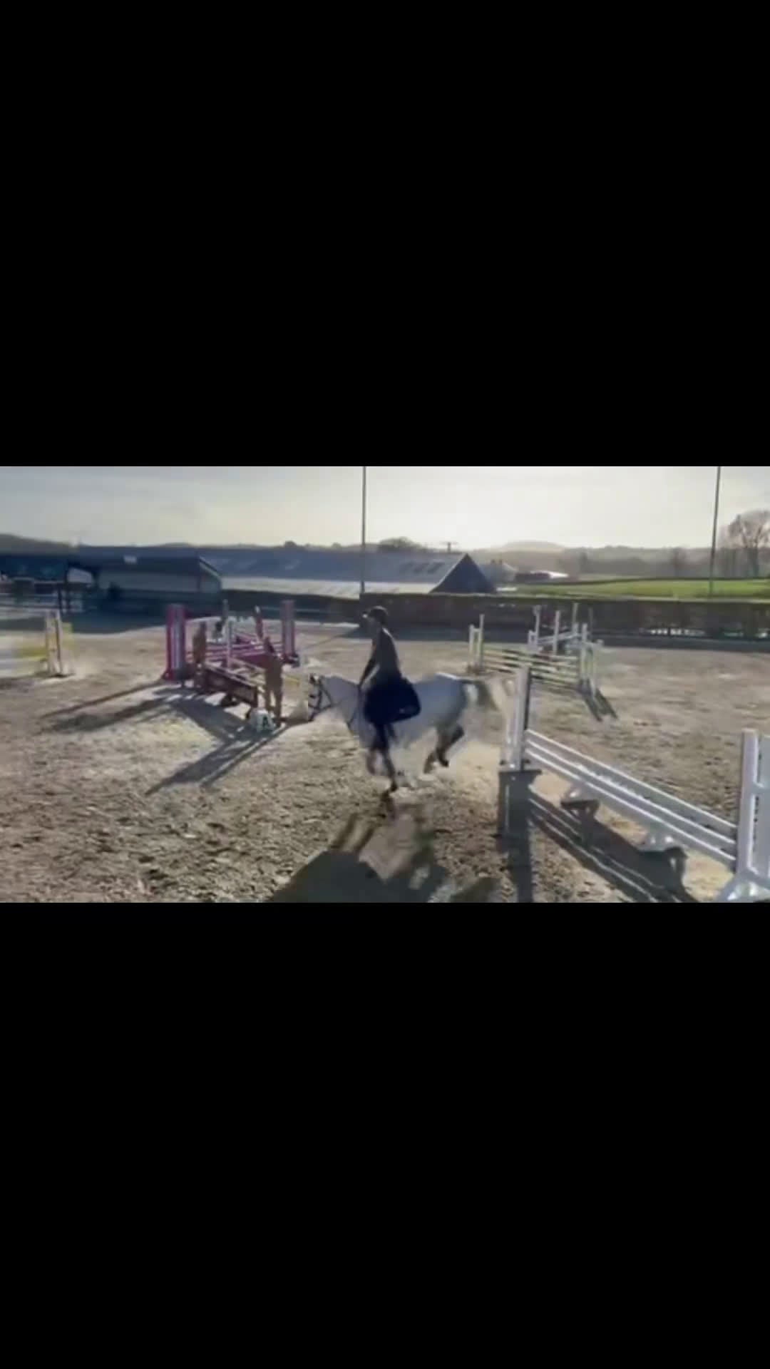 Hoppning hästar till salu: Framtidens rosettplockare! i Solna - Video 4