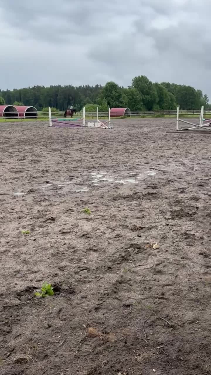 Allround hästar sökes: 🌟Häst sökes🌟 - Video 2
