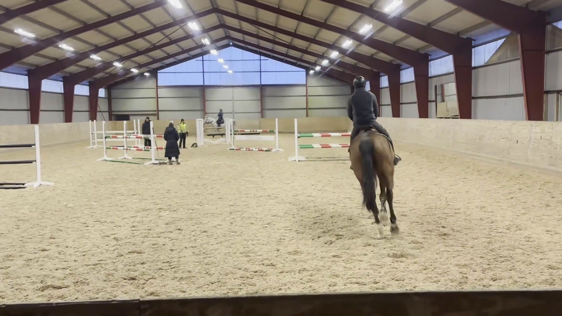 Hoppning hästar till salu: Läromästare  - Video 3