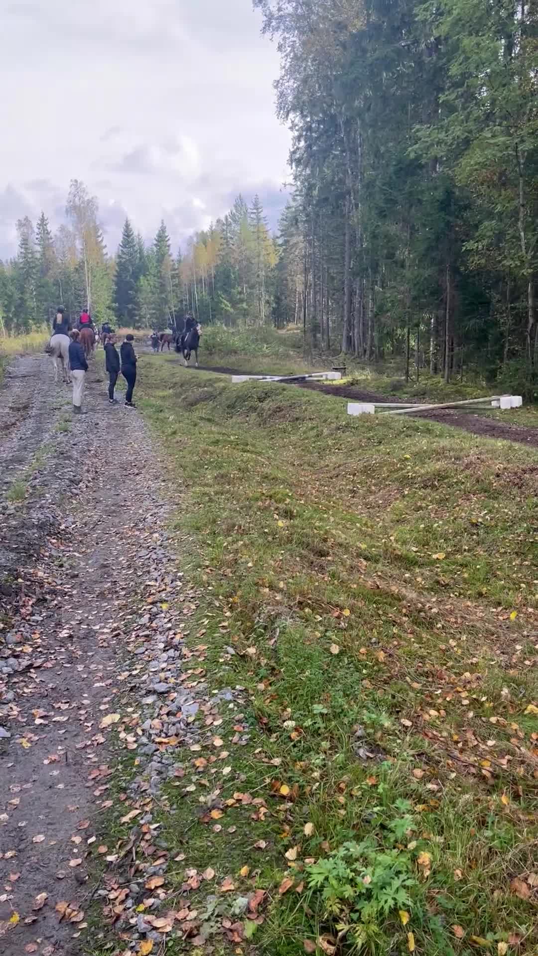 Allround hästar sökes: Häst sökes eller långtids foderhäst  - Video 1