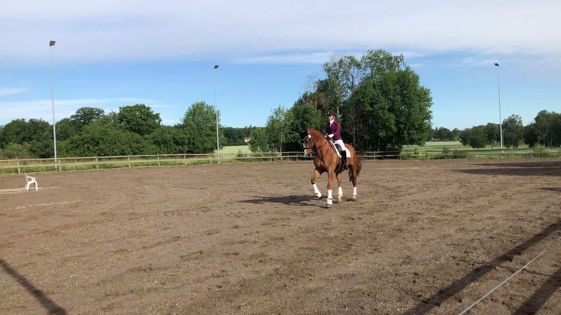 Dressyr hästar till salu: Fantastisk läromästare i Västerås - Video 5