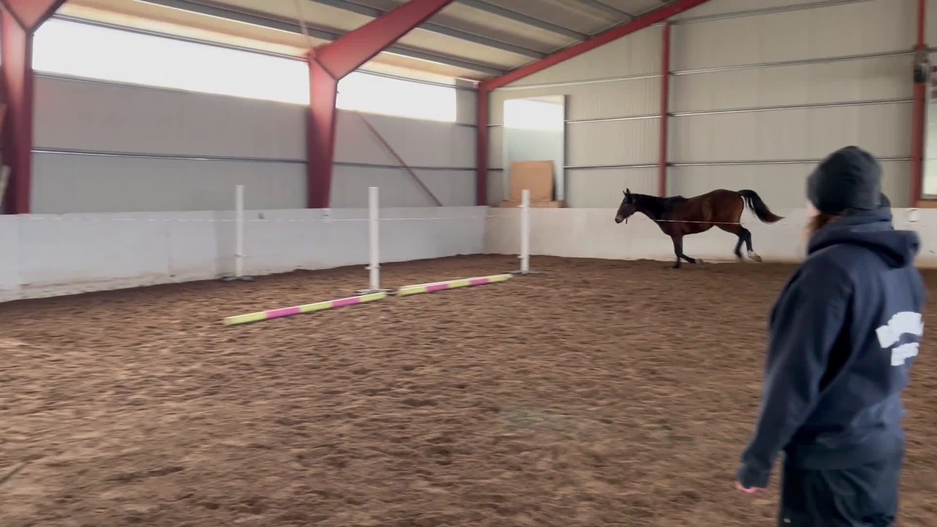 Hoppning hästar till salu: Trevlig 2åring i Gustavsberg - Video 1