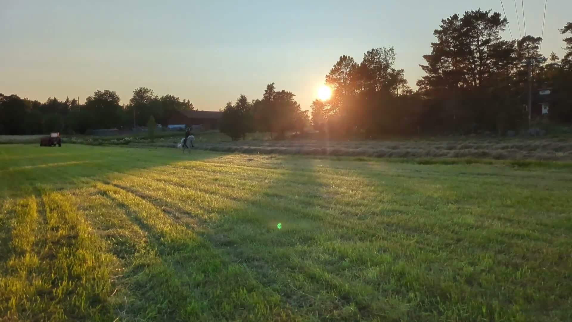 Allround hästar till salu: Pigg allroundponny - Video 4