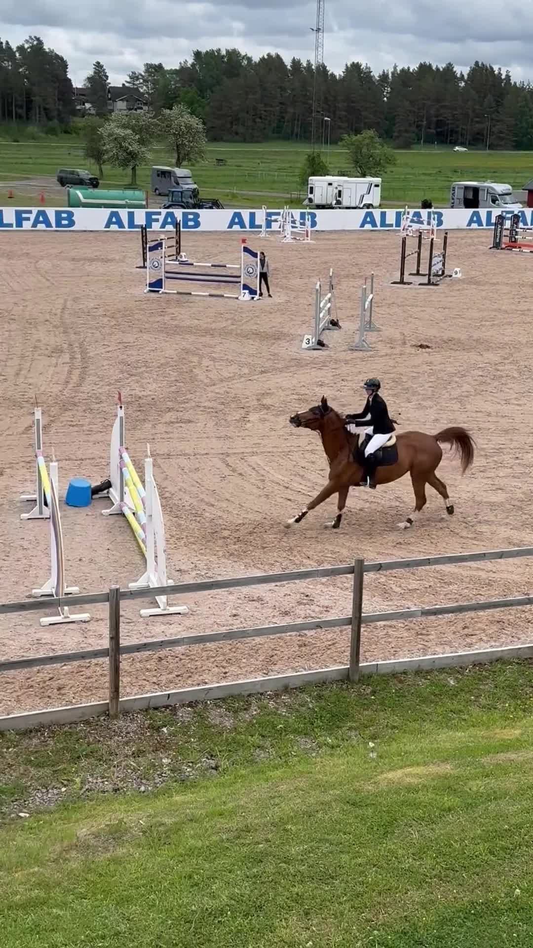 Hoppning hästar till salu: Fantastiskt sto klar för Falsterbo - Video 1