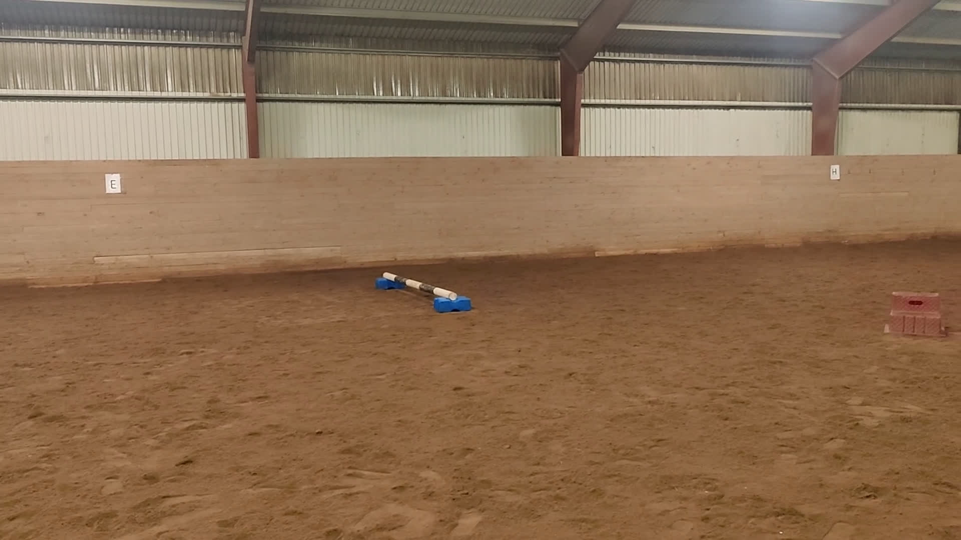 Allround hästar till salu: Projekthästen Bosse  - Video 2