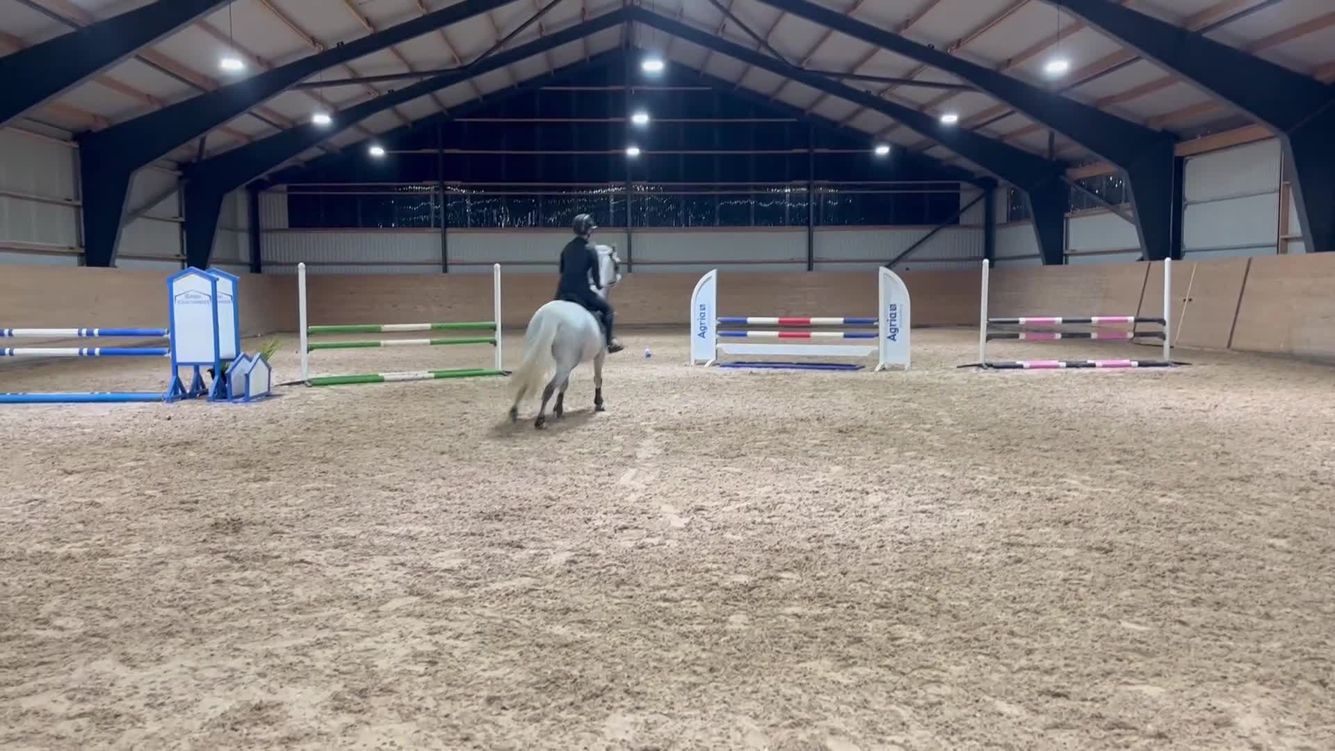 Allround hästar till salu: Fin tävlingsponny - Video 3