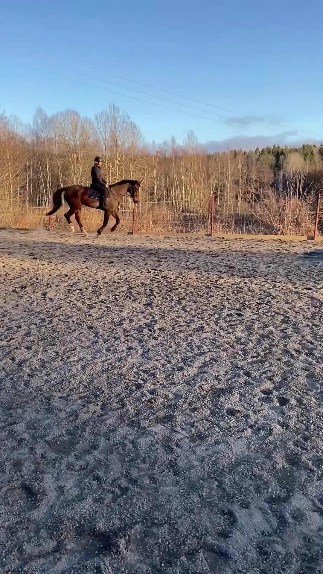  foderhäst sökes: Foderhäst (ev köp) sökes  i Vendelsö - Video 4