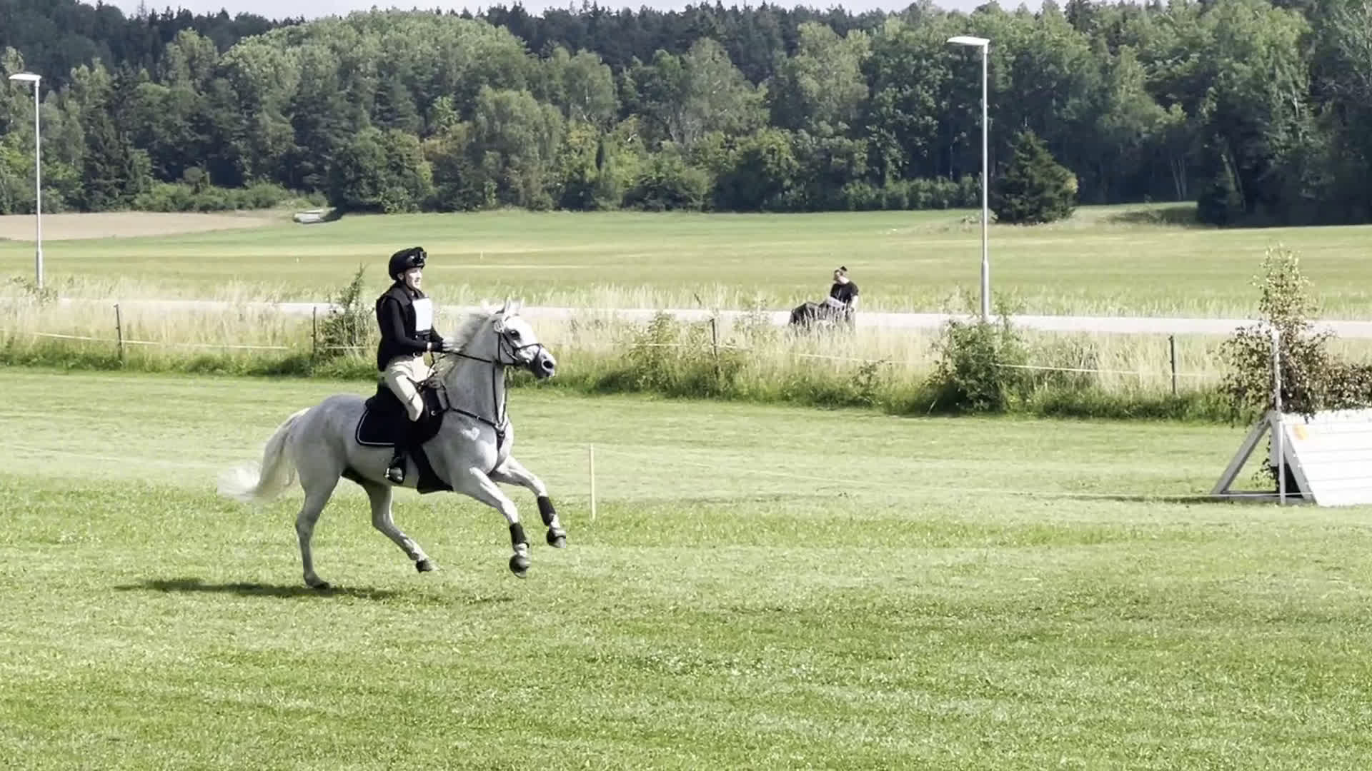 Fälttävlan hästar till salu: Erfaren Fälttävlans- & hopp ponny  i Vallentuna - Video 1
