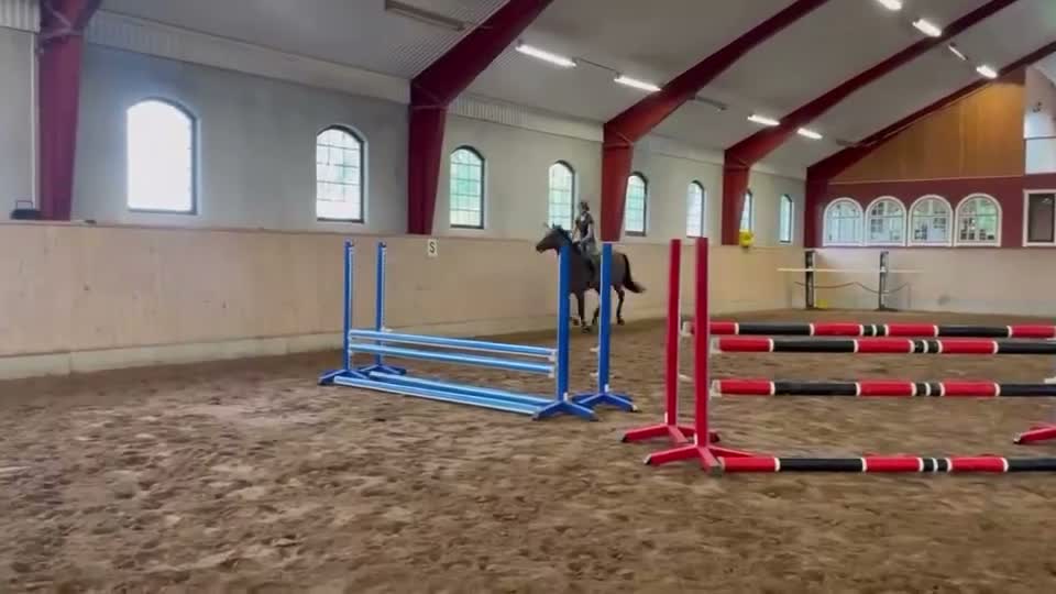 Hoppning hästar till salu: Okomplicerad treåring e Nebraska VDL i Kättilstorp - Video 2