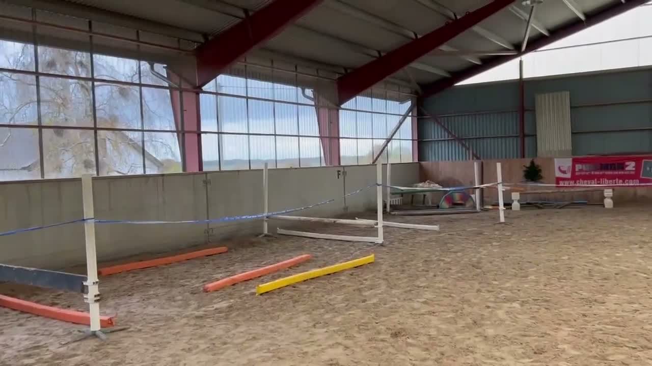 Hoppning hästar till salu: Trevlig 3 årig - Video 2