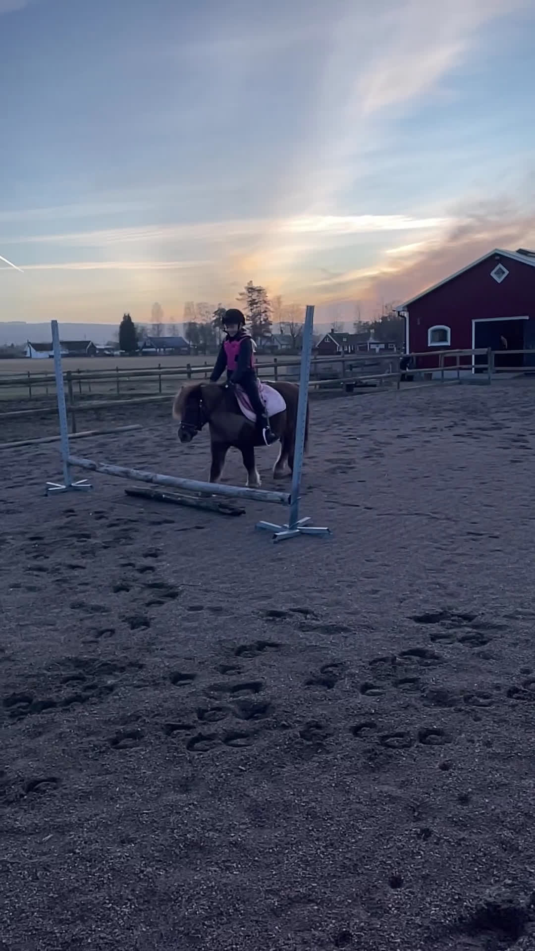 Allround hästar till salu: Bästa läromästaren  - Video 2