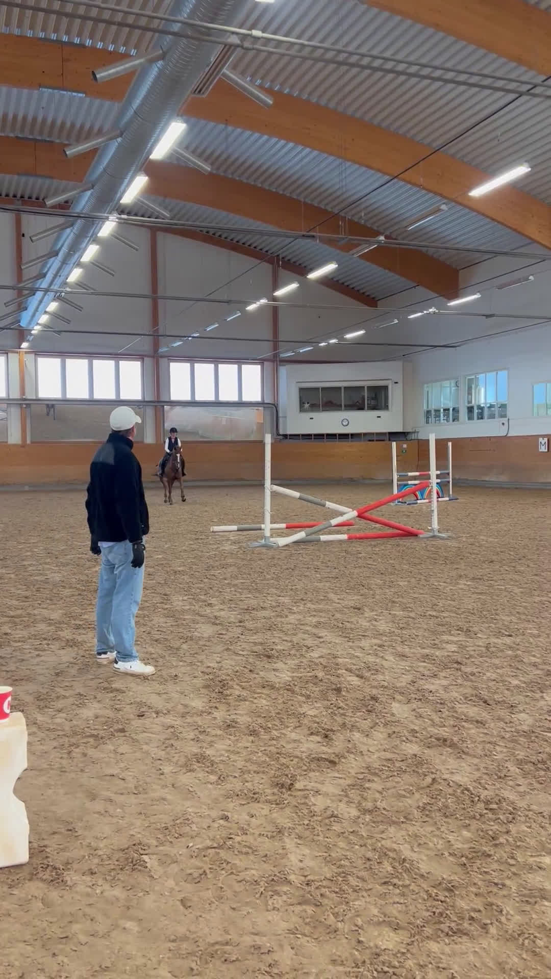 Hoppning hästar till salu: 8-årigt sto med god kapacitet  - Video 2