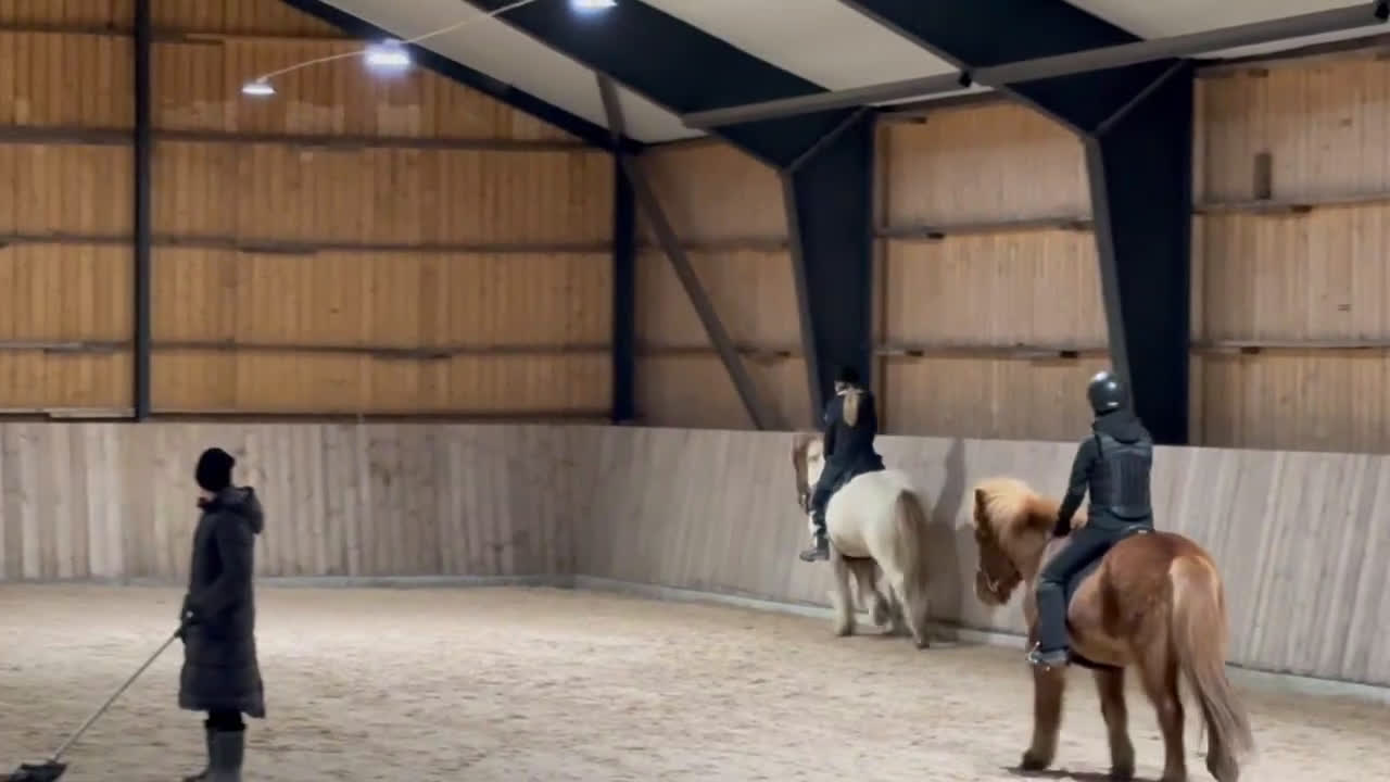  medryttarhäst sökes: Söker medryttarhäst nära Järfälla!! i Järfälla - Video 1