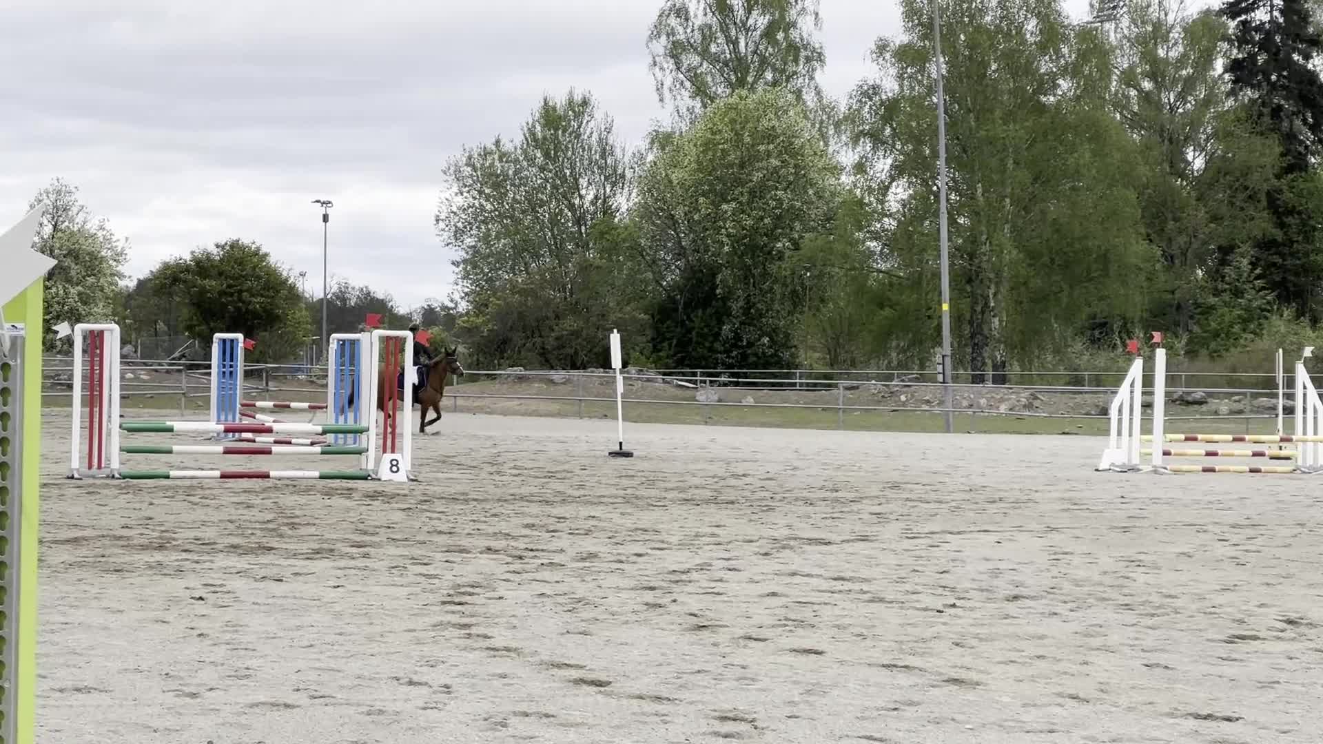 Allround hästar till salu: Snäll och trygg C-ponny "Reserverad" - Video 1