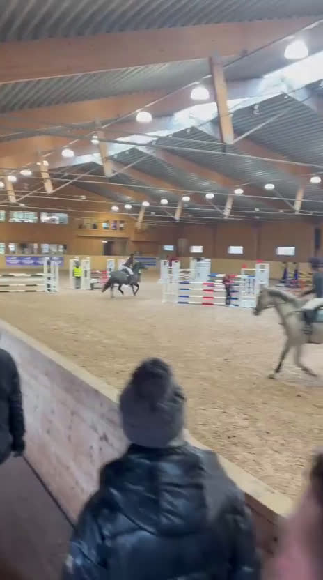 Hoppning hästar till salu: Lovande D-ponny med hjärta och potential 🌟 - Video 1
