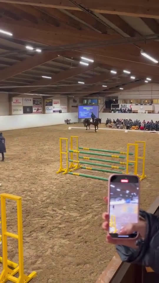 Avelshästar hästar till salu: Toppstammat hoppsto i Gävle - Video 1