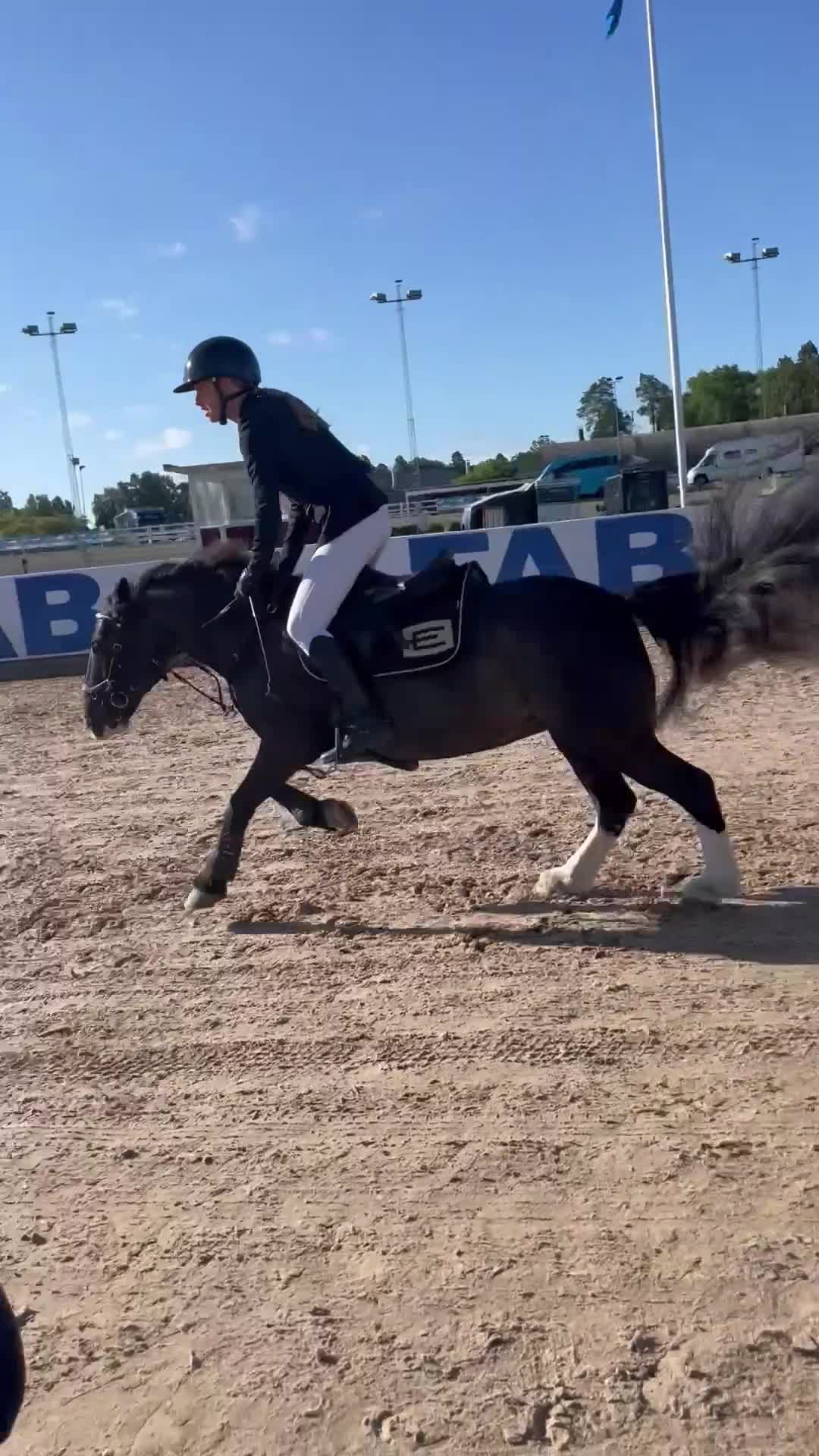 Hoppning hästar till salu: Eclipse Molly  - Video 2
