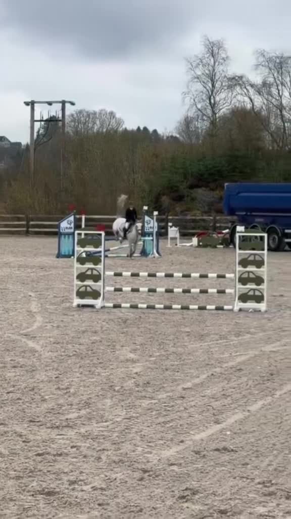 Hoppning hästar till salu: Nydelig sprangponni og læremester selges❤️ i Blomsterdalen - Video 1