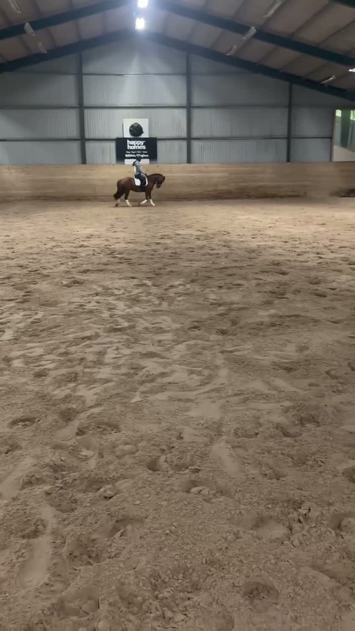Allround hästar till salu: Fin allroundponny, 8 år kat.C - Video 1