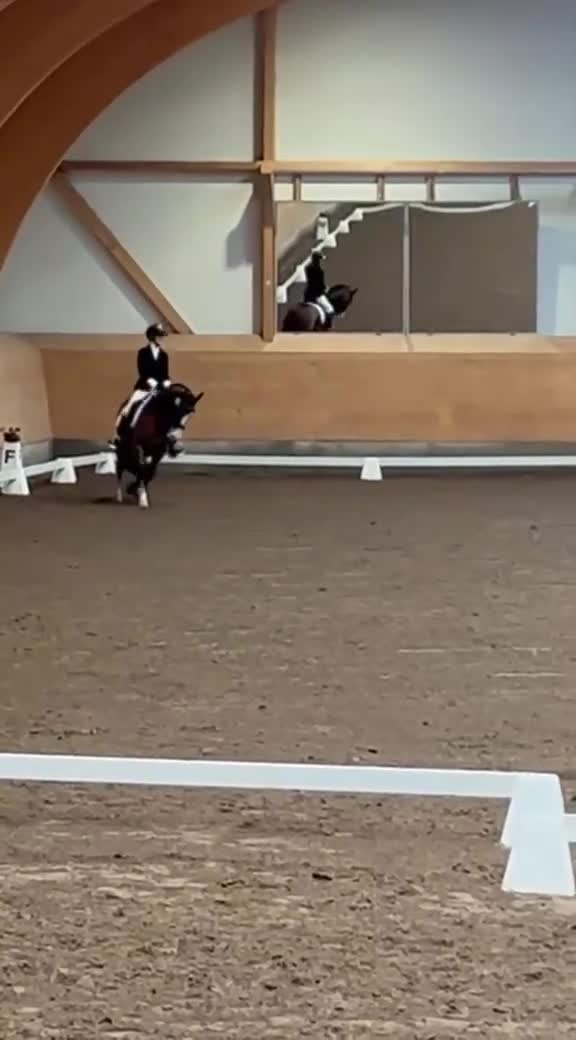 Allround hästar till salu: Mångsidig ponny med mycket power🌟 i Rånäs - Video 3
