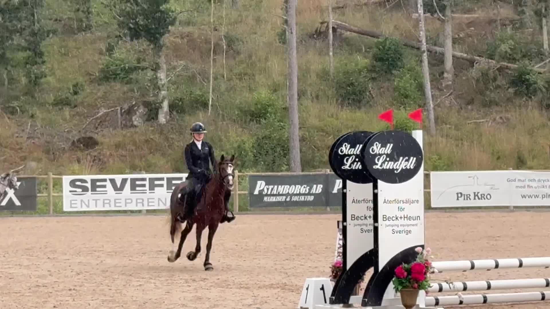 Hoppning hästar till salu: Bes UA 24/9! Drömponny med kapacitet🌟 - Video 1
