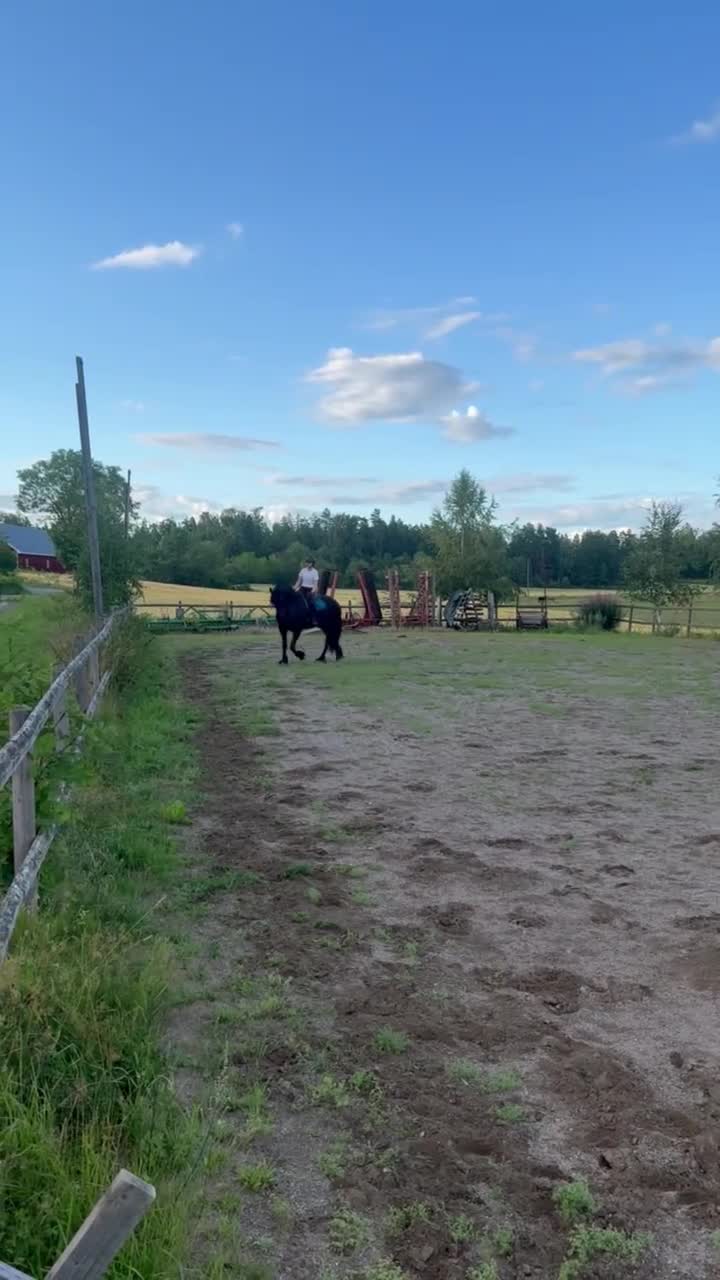 Allround hästar till salu: Enya af Jägersborg - Video 2